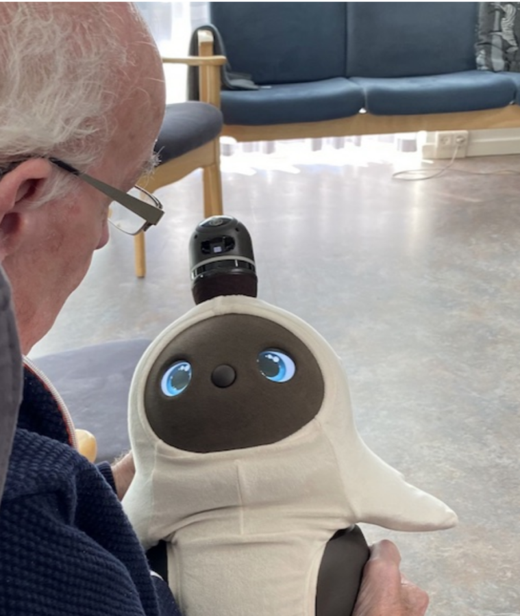 Social robots for elderly people