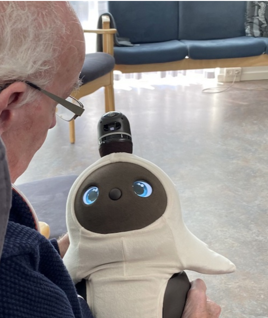 Social Robots Pose Problems Beyond Ethics Social robots for elderly people